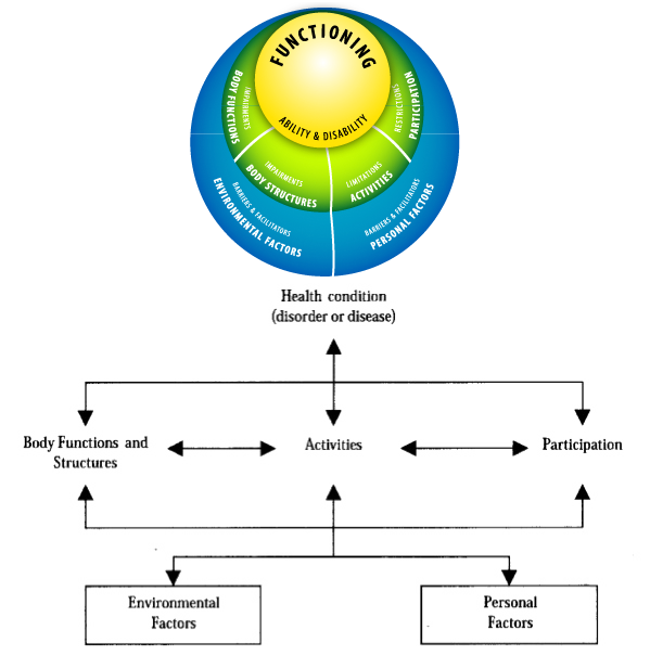 ICF model