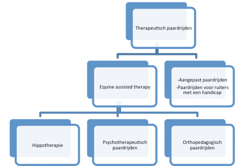 therapeutisch paardrijden overzicht